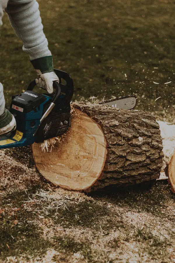 Chainsaw cutting a log section on the grass