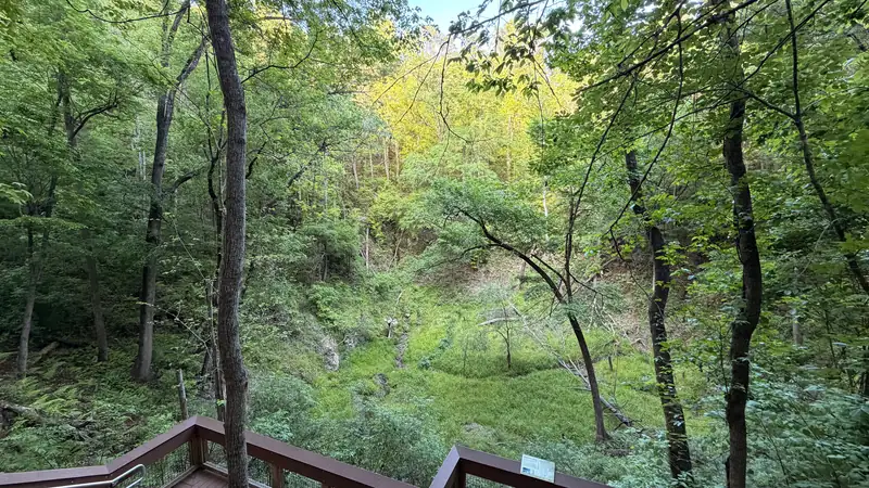 The ravine at Devil's Millhopper Geological State Park in northwest Gainesville