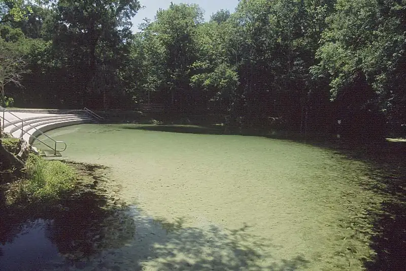 Clear green water of Poe Spring ringed by trees near High Springs, Florida