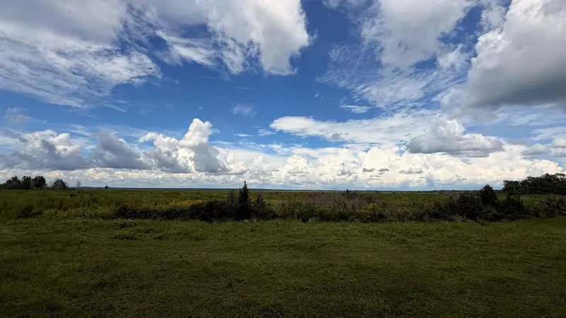 Wide view over Paynes Prairie south of Gainesville under summer clouds