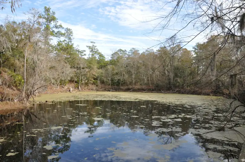The Santa Fe River Sink surrounded by trees near High Springs