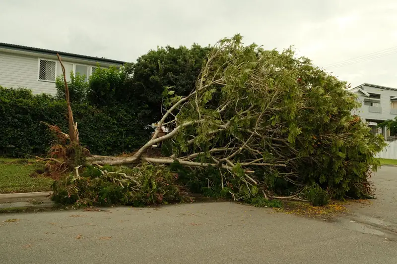 Tree down across a residential street beside houses